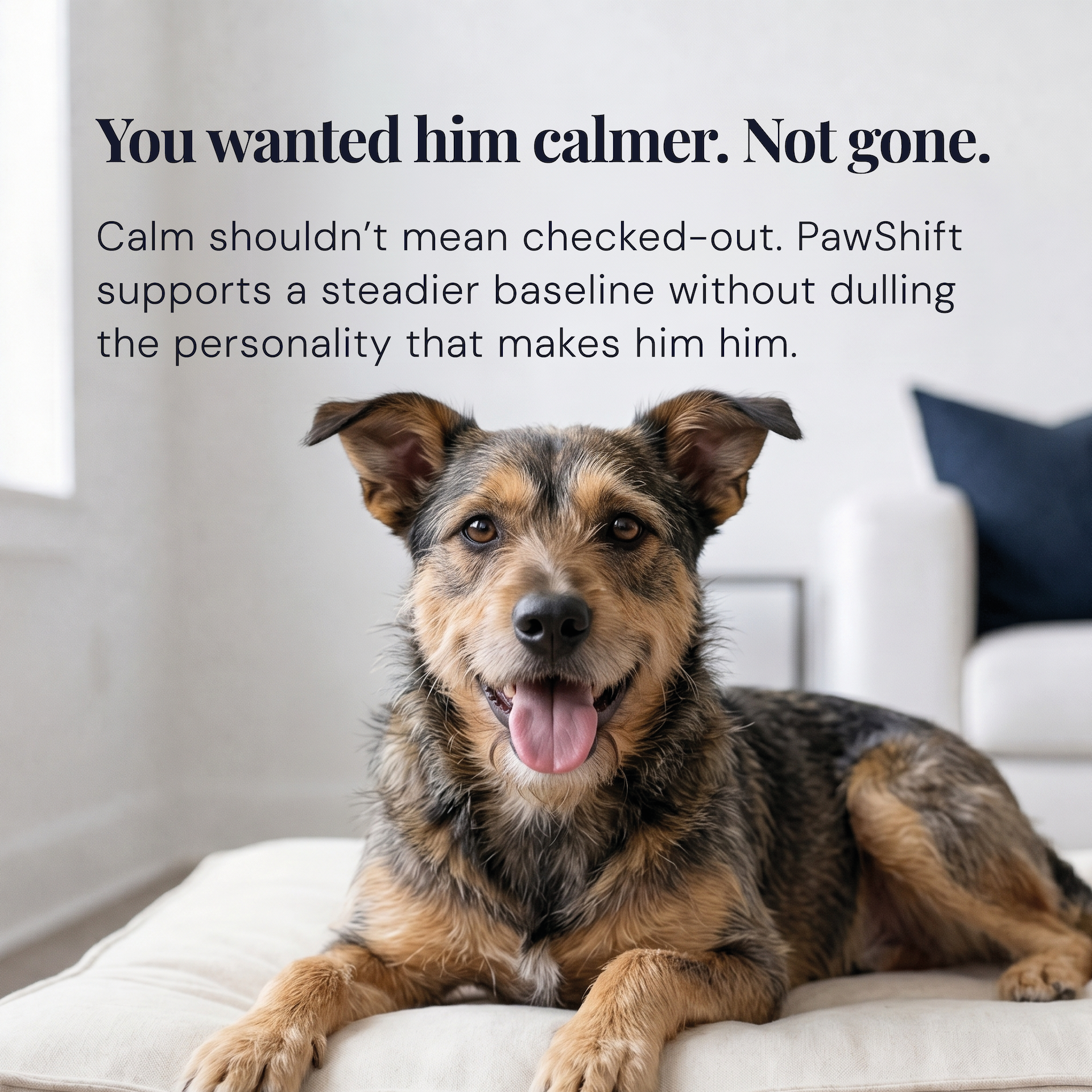 Daily Calm Protocol