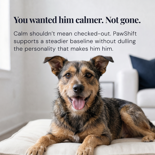 Daily Calm Protocol