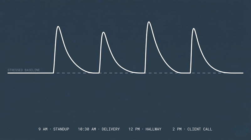 Stress chart without PawShift