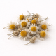 Chamomile Extract
