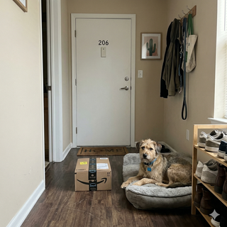 Customer dog photo 4