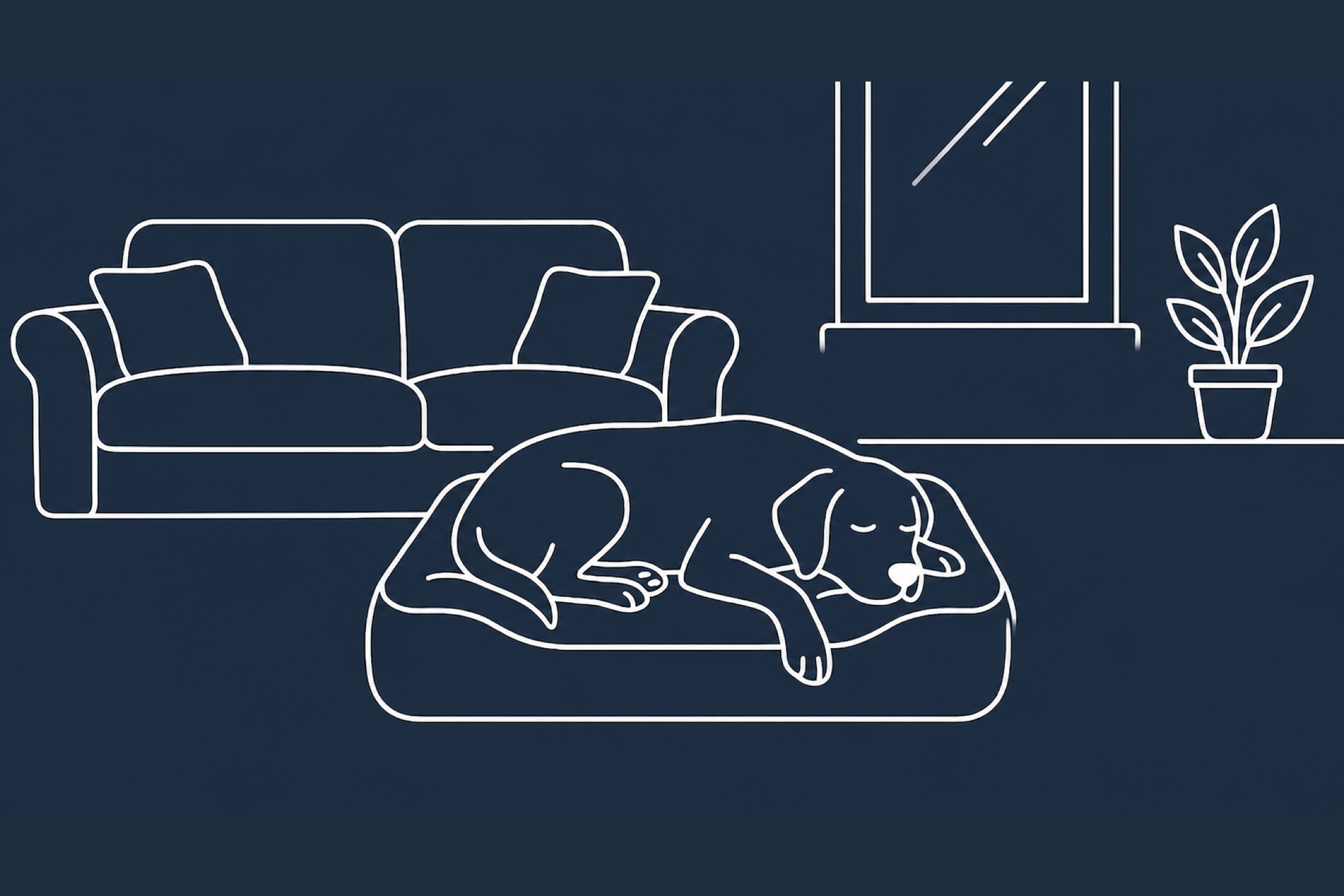 A dog resting calmly asleep on its bed in a settled living room